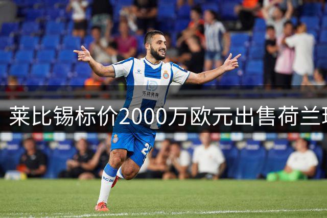 莱比锡标价2000万欧元出售荷兰球员海特勒伊达